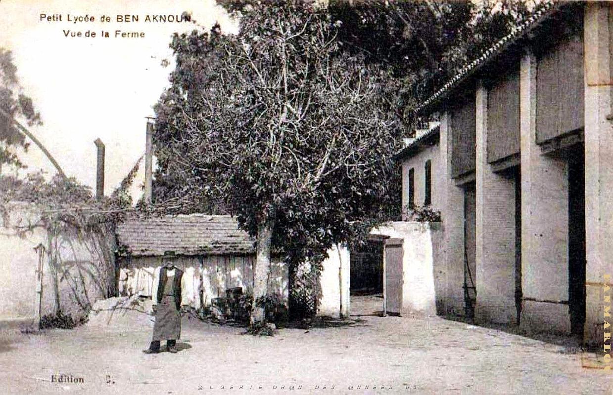 Ben-Aknoun - Petit Lycee vu de la Ferme.jpg